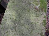 image of grave number 174469
